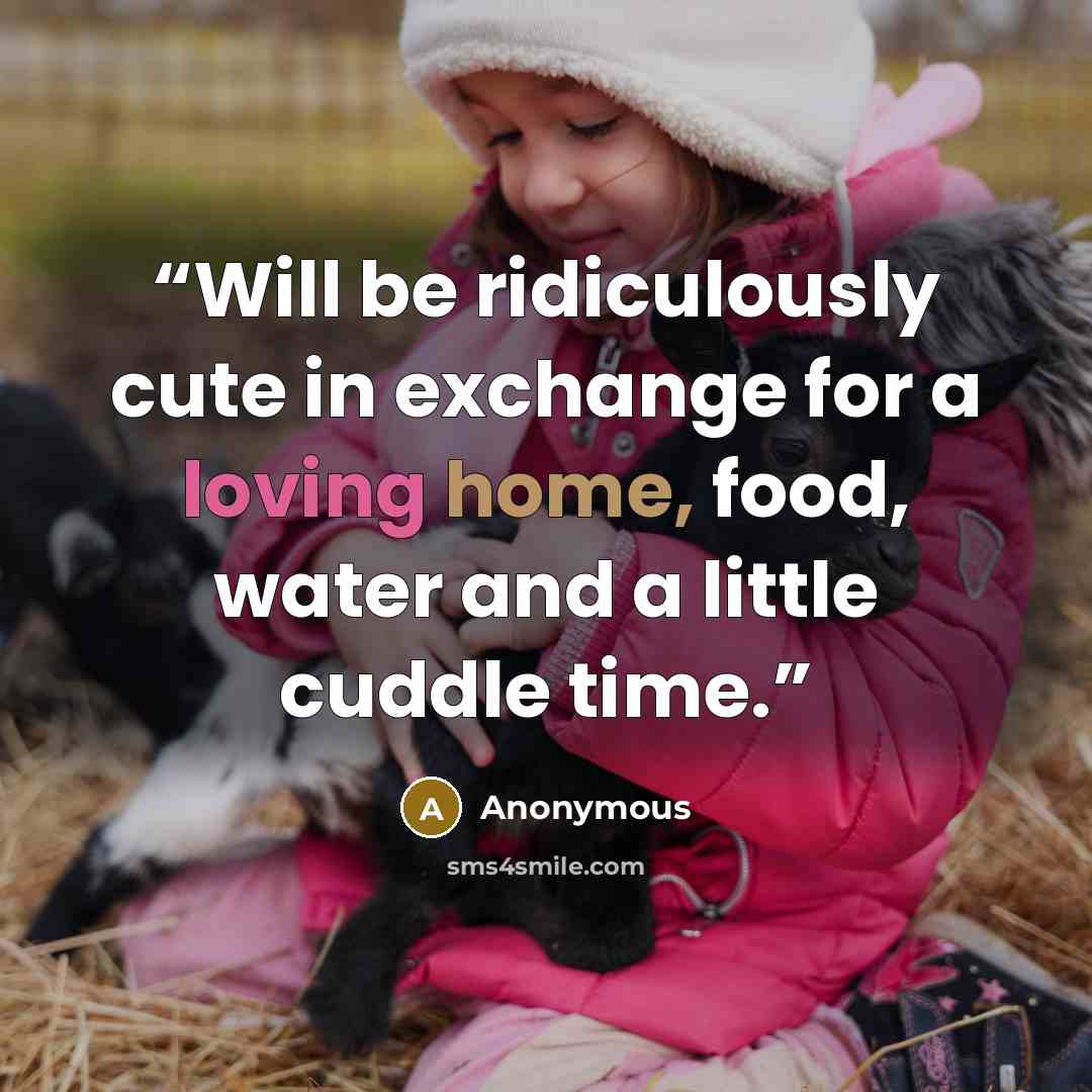 “Will be ridiculously cute in exchange for a loving home, food, water and a little cuddle time.” quote by Anonymous