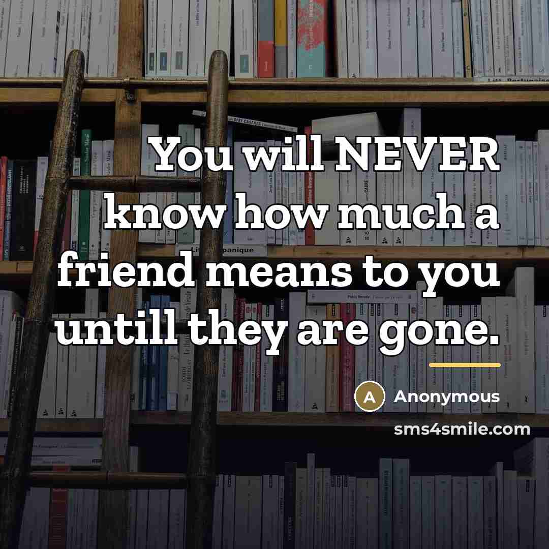 “You will NEVER know how much a friend means to…” quote by Anonymous