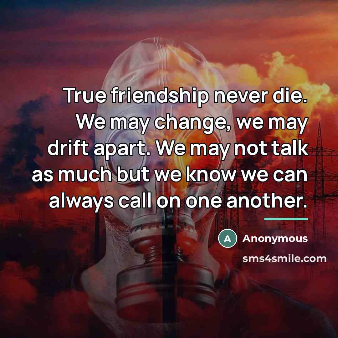 “True friendship never die. We may change, we may drift…” quote by Anonymous