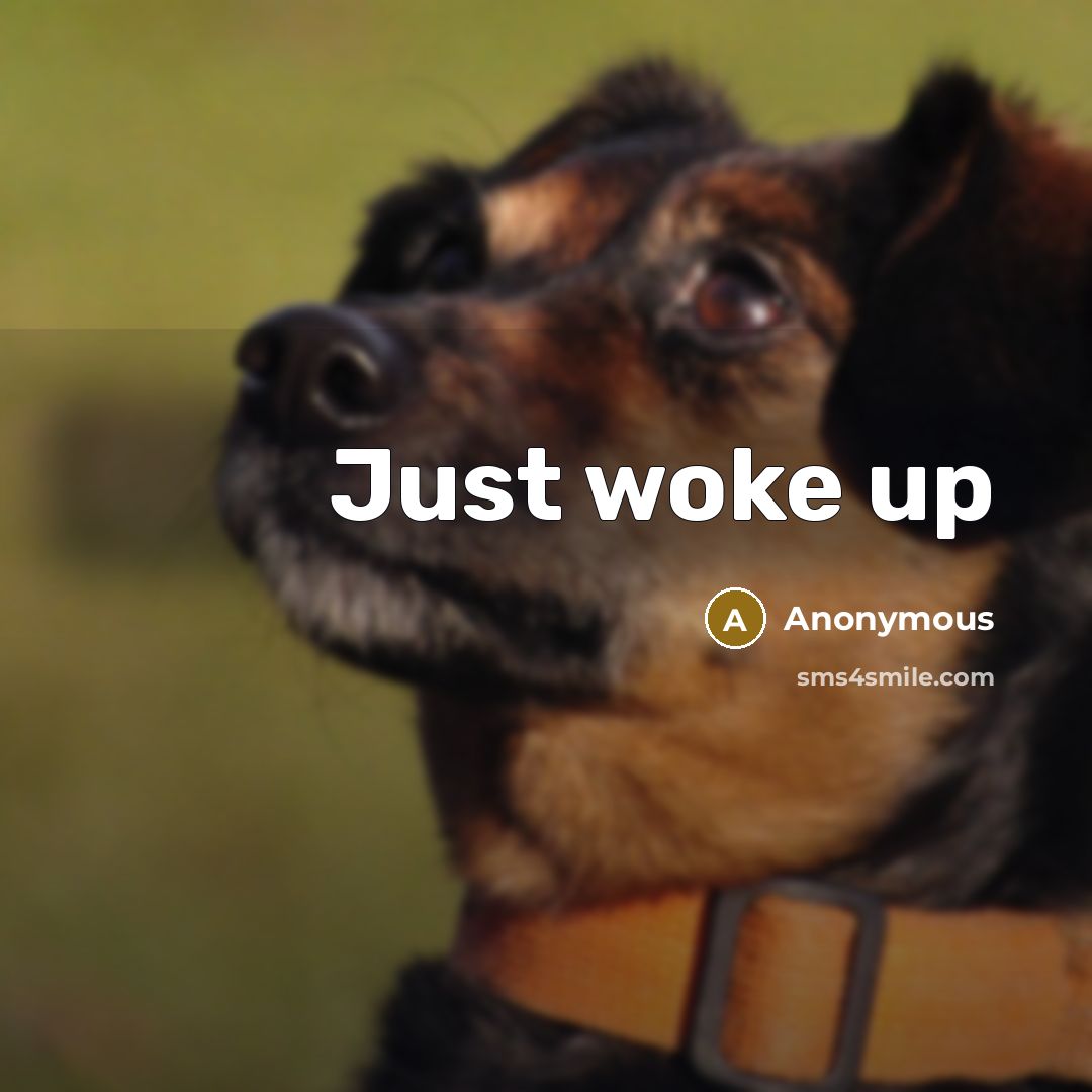 “Just woke up” quote by Anonymous