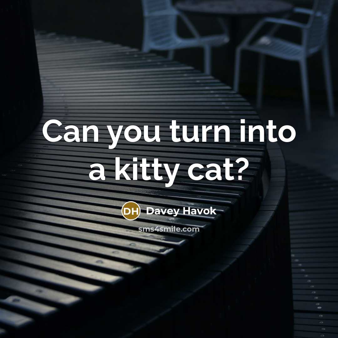 “Can you turn into a kitty cat?” quote by Davey Havok
