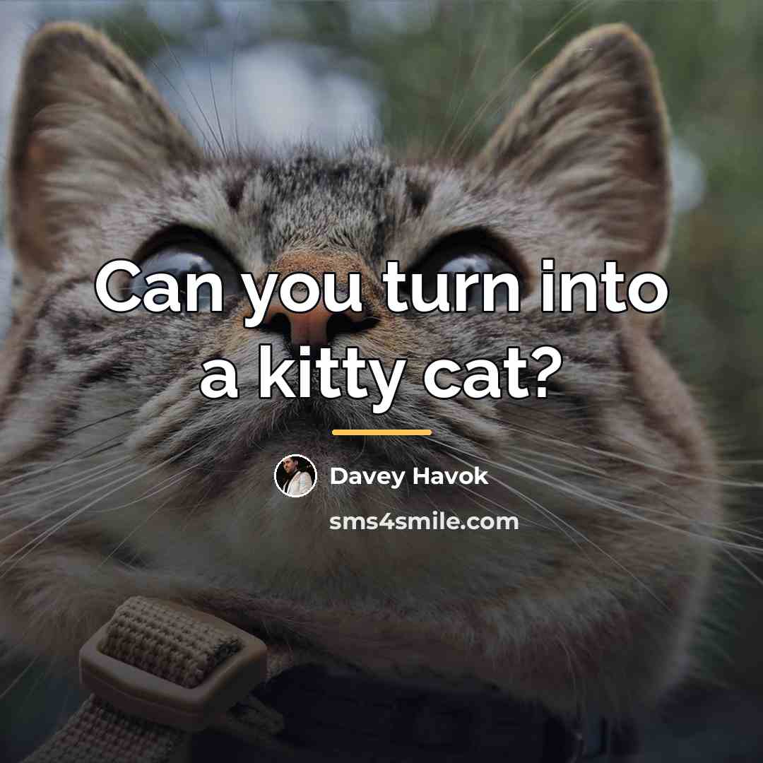 “Can you turn into a kitty cat?…” quote by Davey Havok