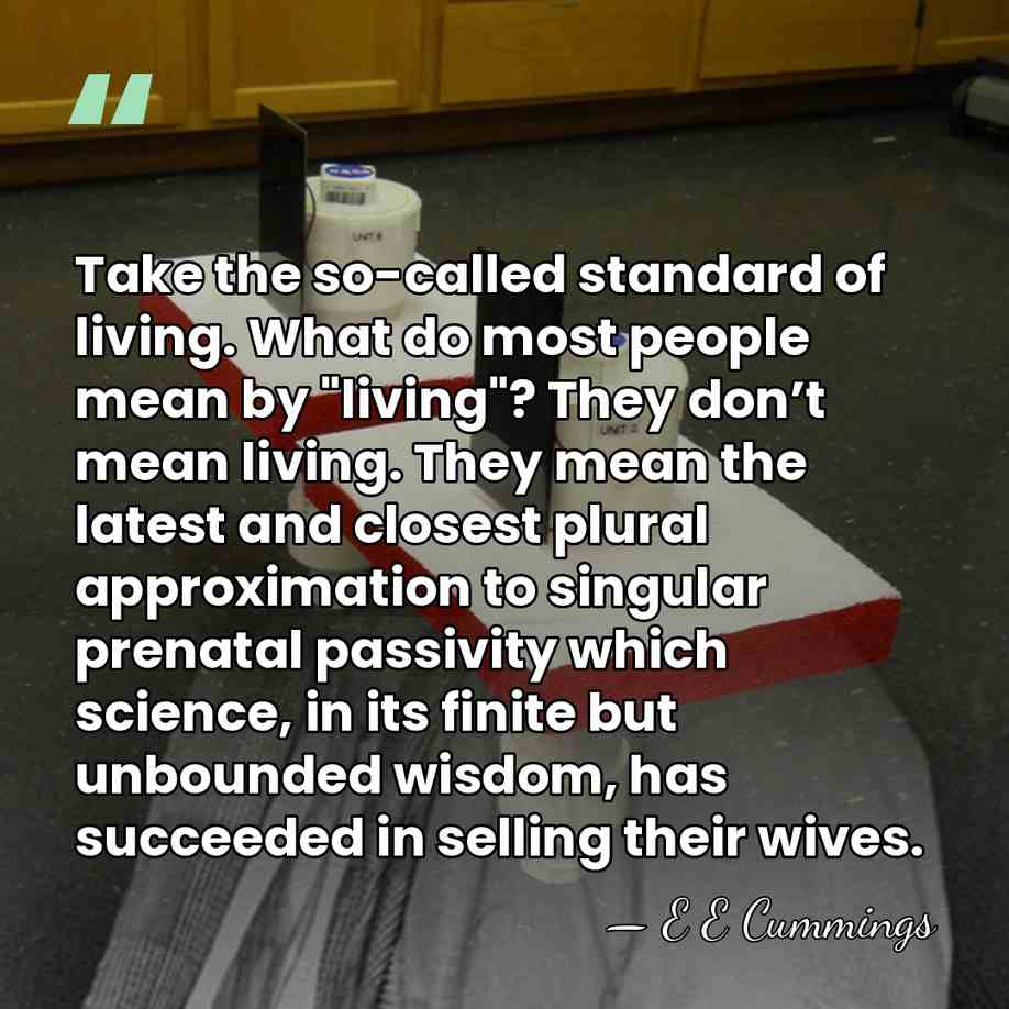 Take the so-called standard of living. What do most people mean by&hellip; - E E Cummings