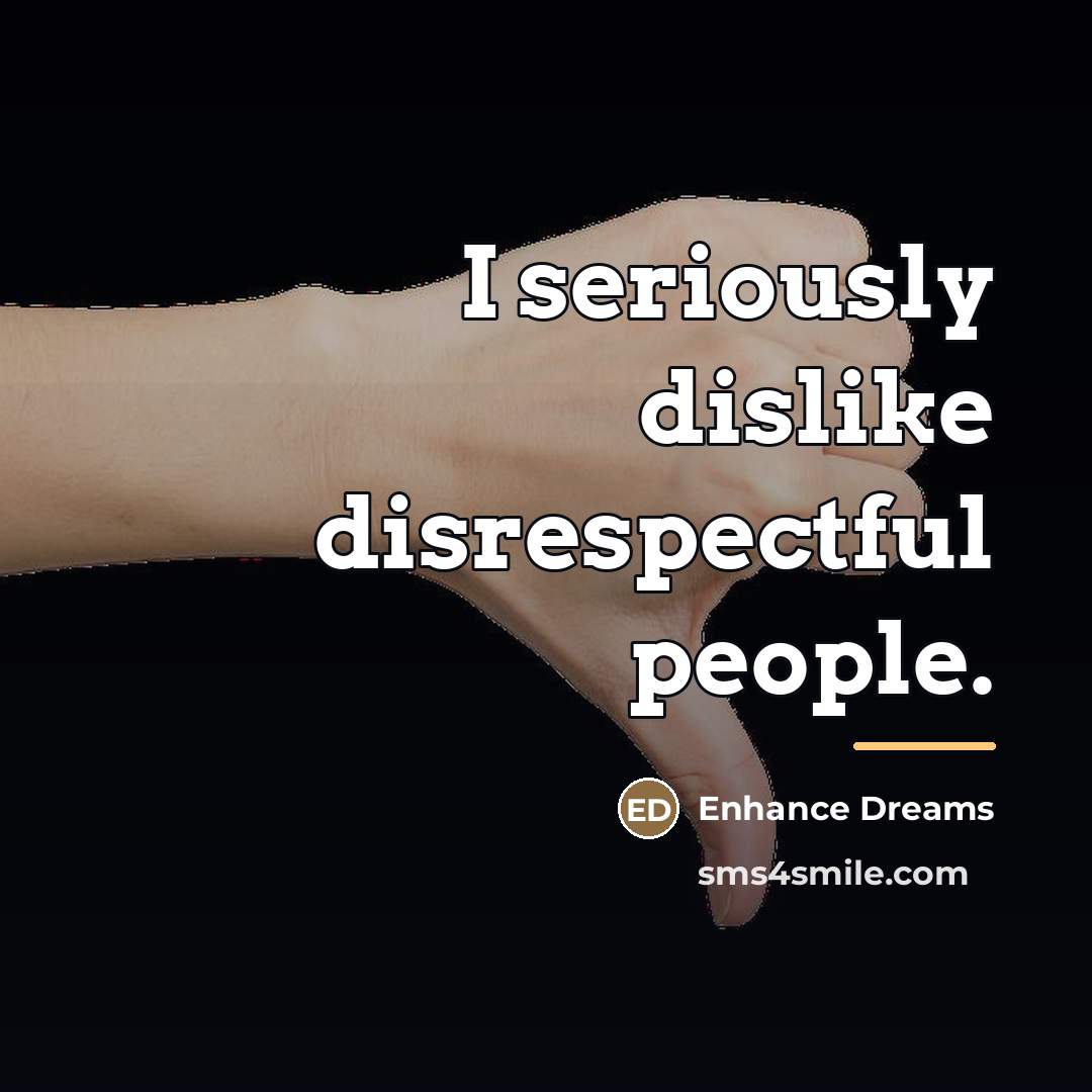 “I seriously dislike disrespectful people.…” quote by Enhance Dreams