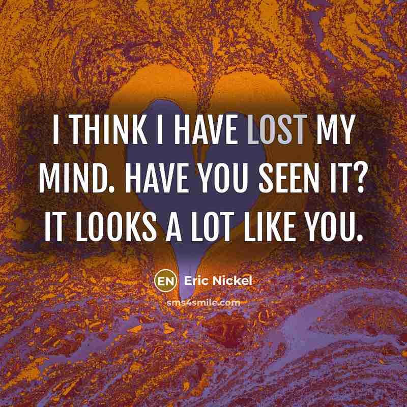 “I think I have lost my mind. Have you seen…” quote by Eric Nickel