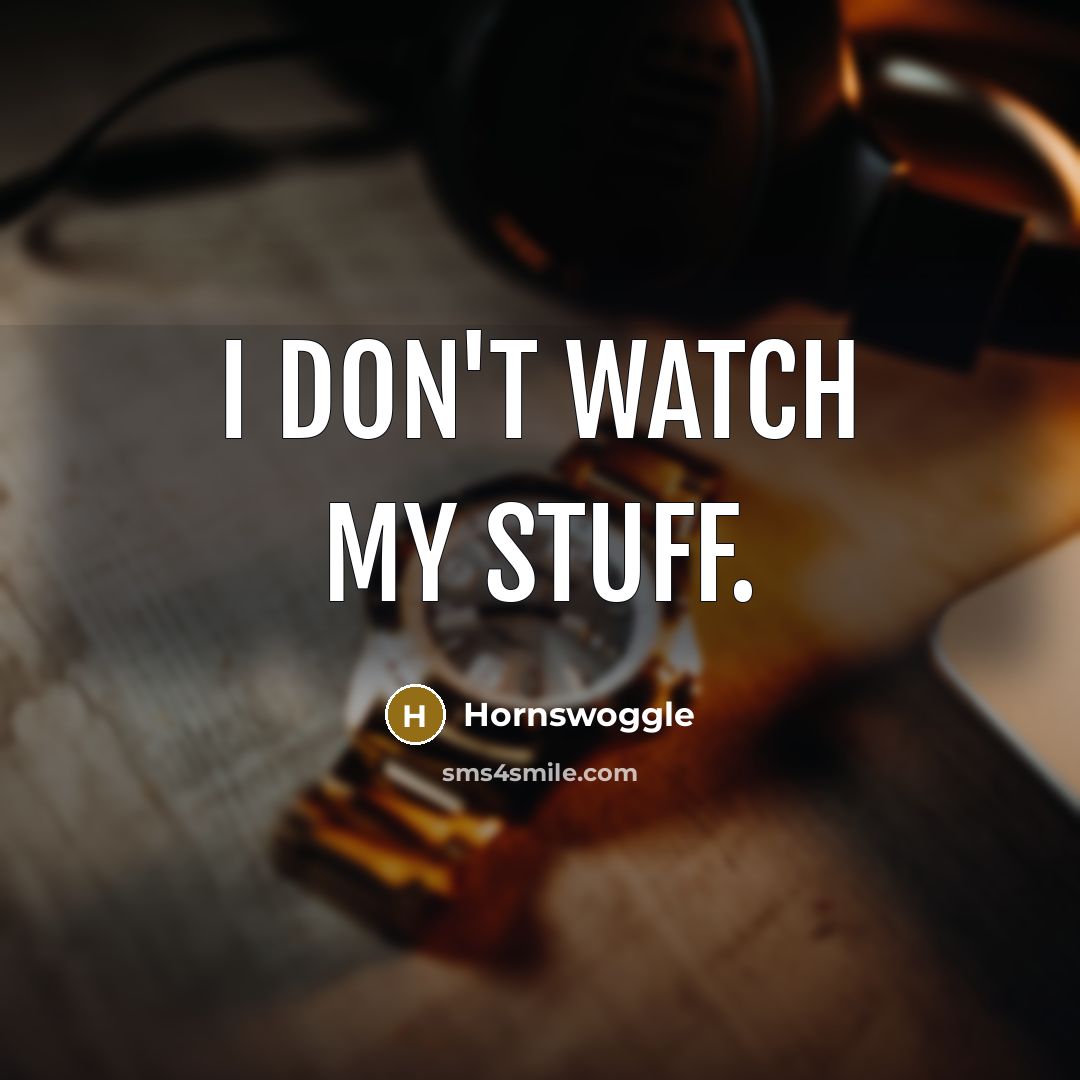 “I don't watch my stuff.…” quote by Hornswoggle