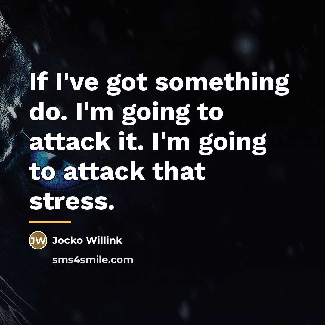 “If I've got something do. I'm going to attack it.…” quote by Jocko Willink