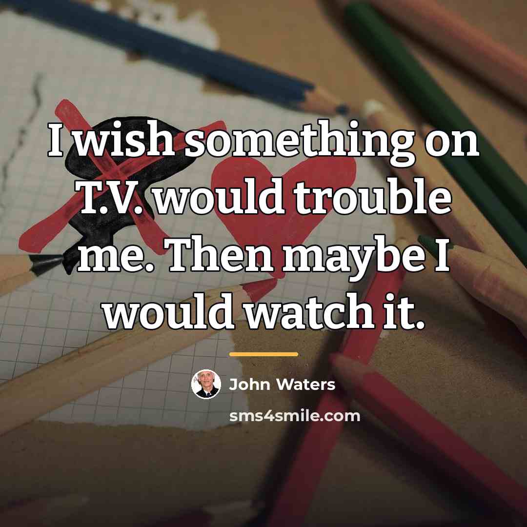 “I wish something on T.V. would trouble me. Then maybe…” quote by John Waters