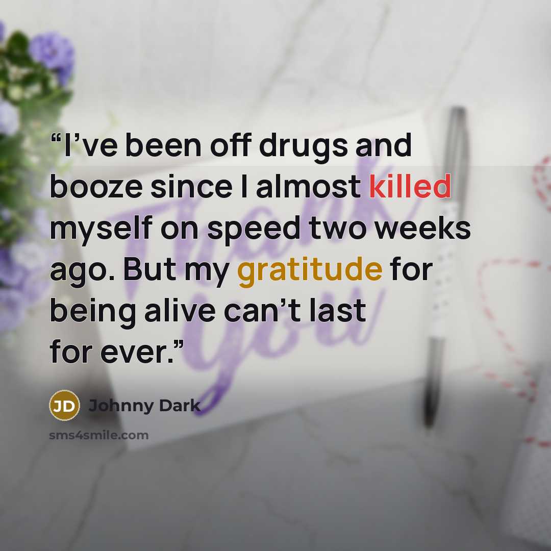 “I've been off drugs and booze since I almost killed myself on speed two weeks ago. But my gratitude for being alive can't last for ever.” quote by Johnny Dark