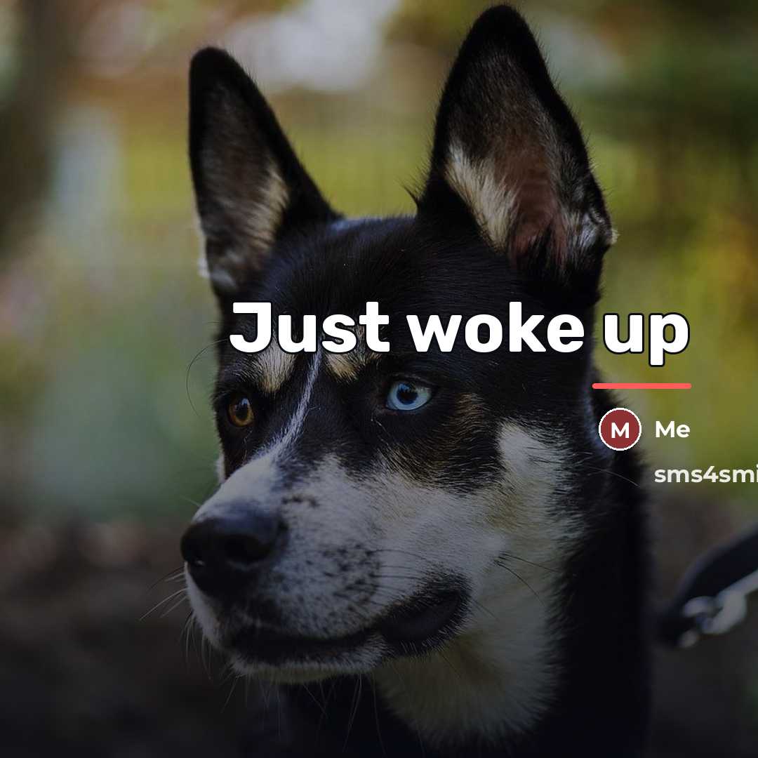 “Just woke up…” quote by Me