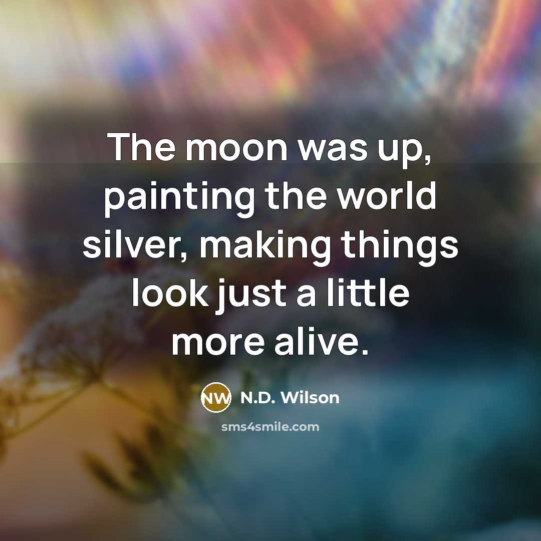 “The moon was up, painting the world silver, making things…” quote by N.D. Wilson