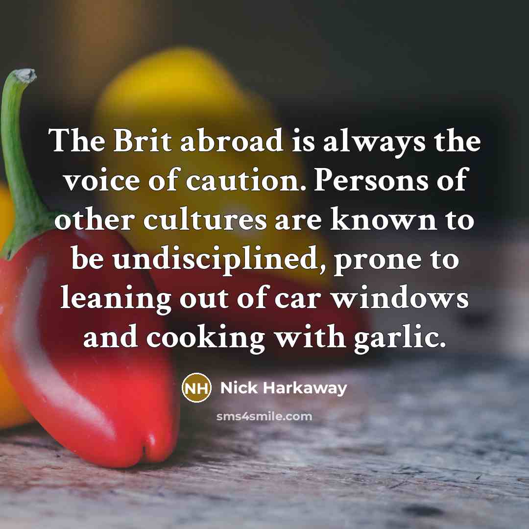 “The Brit abroad is always the voice of caution. Persons…” quote by Nick Harkaway