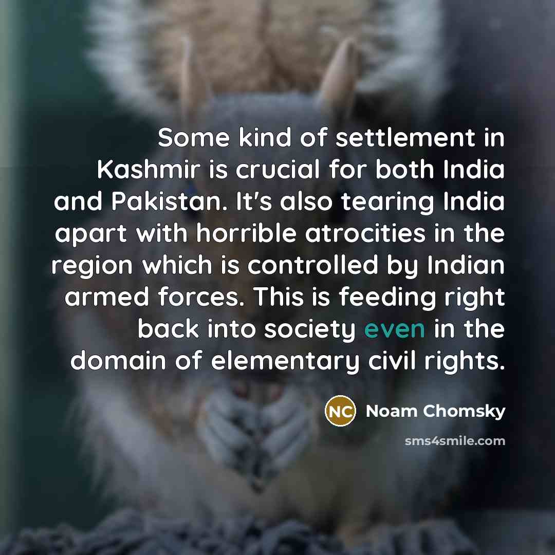 “Some kind of settlement in Kashmir is crucial for both…” quote by Noam Chomsky