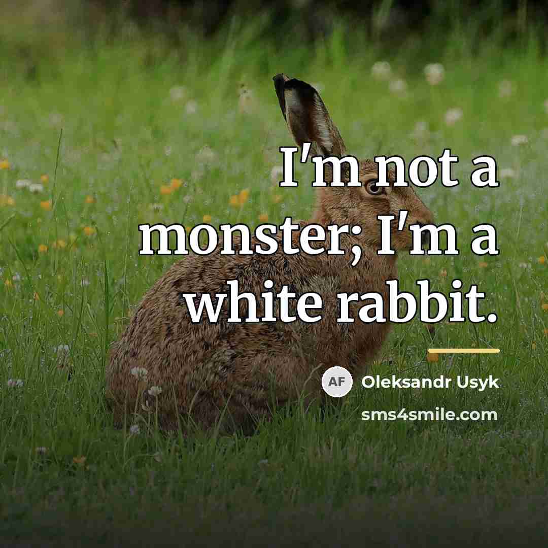 “I'm not a monster; I'm a white rabbit.…” quote by Oleksandr Usyk