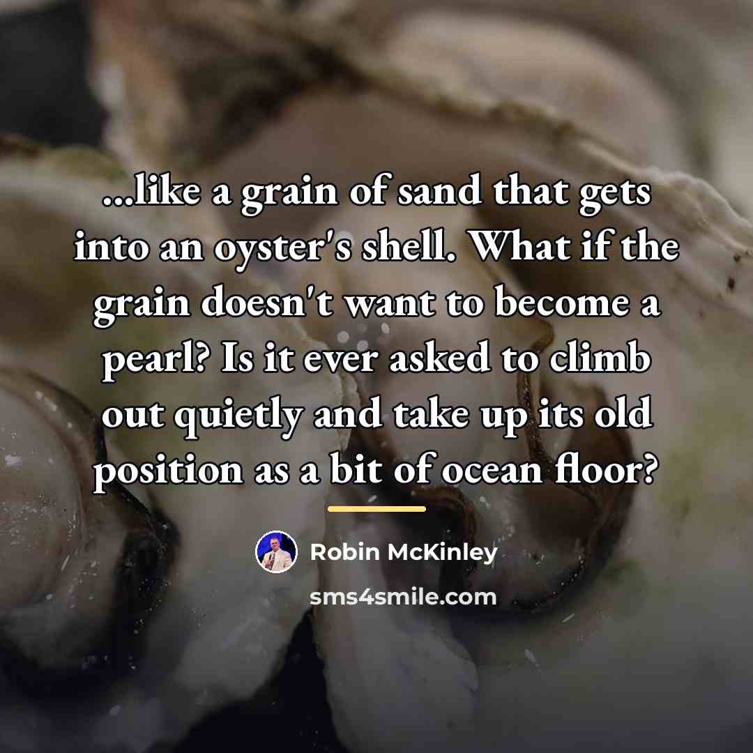 “...like a grain of sand that gets into an oyster's…” quote by Robin McKinley