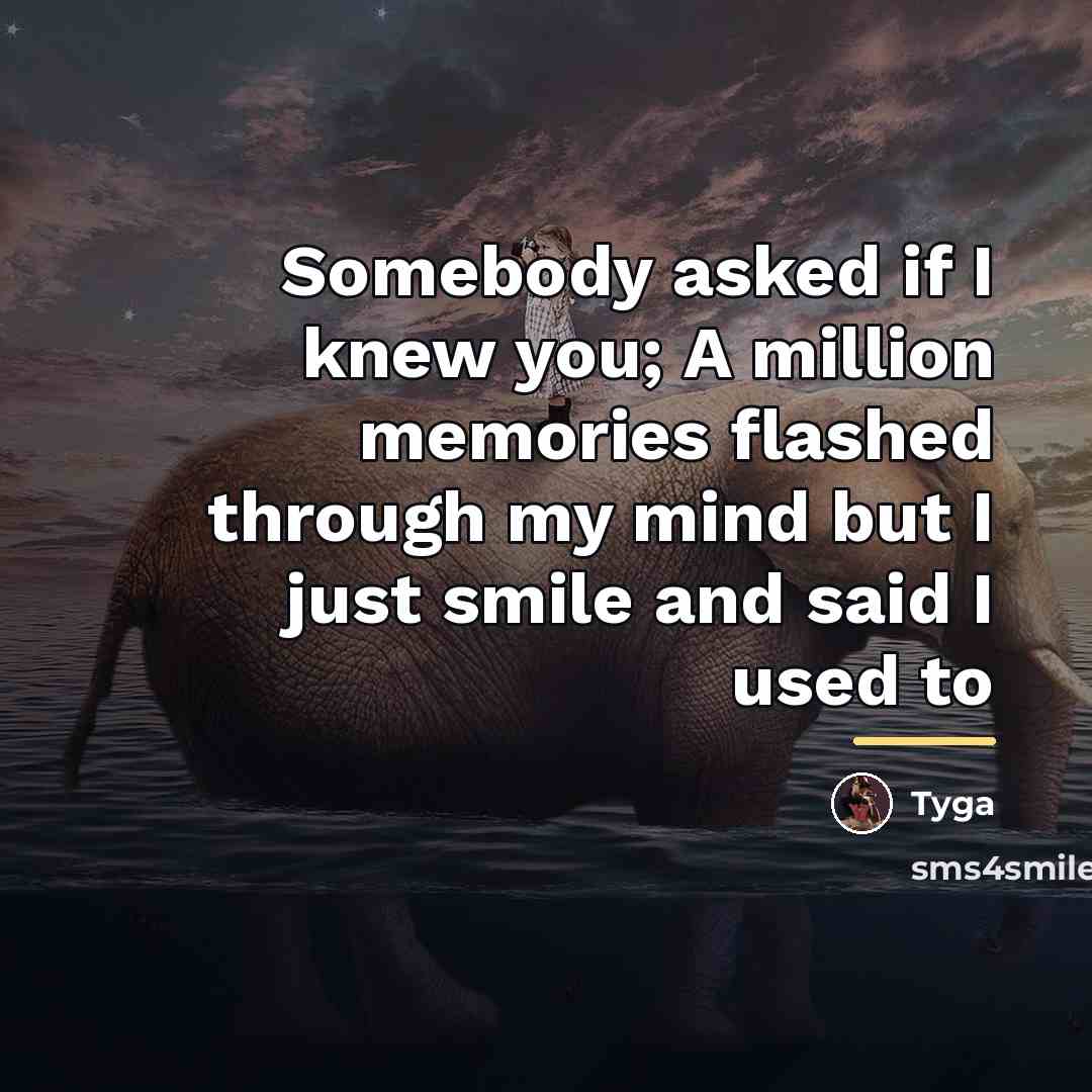 “Somebody asked if I knew you; A million memories flashed…” quote by Tyga