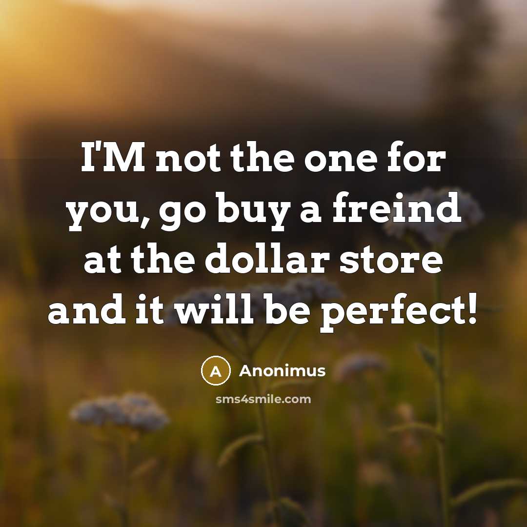 “I'M not the one for you, go buy a freind at the dollar store and it will be perfect!” quote by Anonimus
