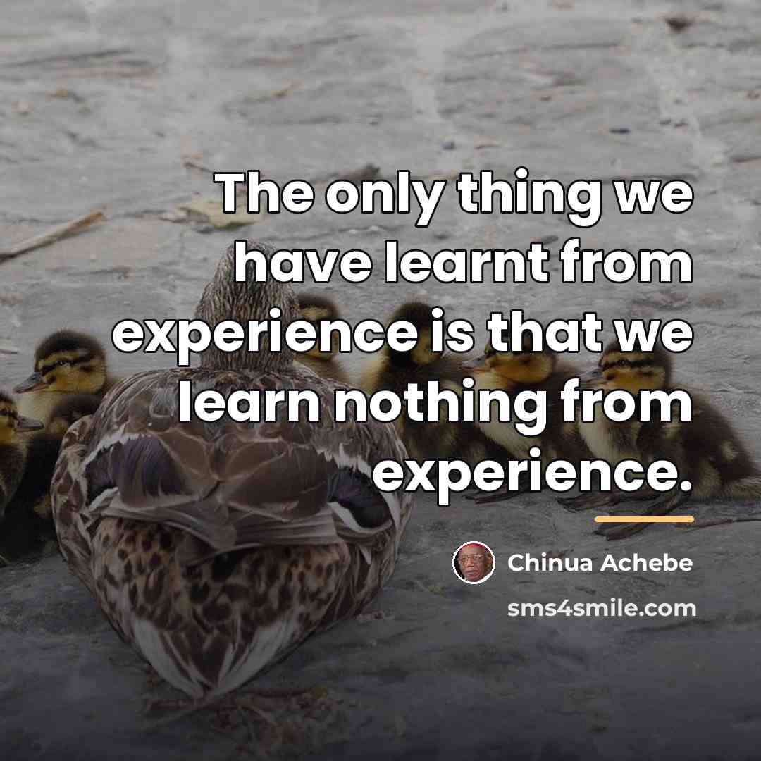“The only thing we have learnt from experience is that…” quote by Chinua Achebe