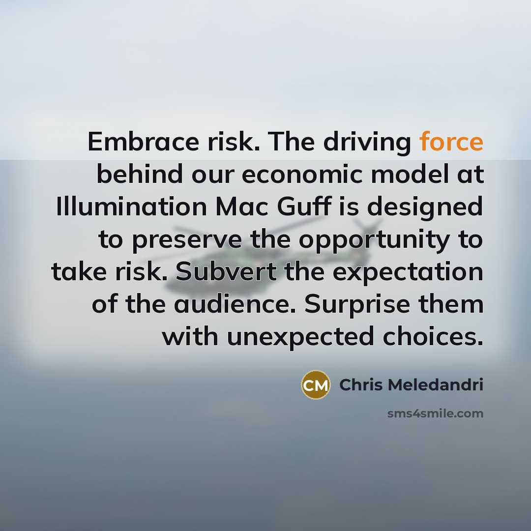 “Embrace risk. The driving force behind our economic model at…” quote by Chris Meledandri