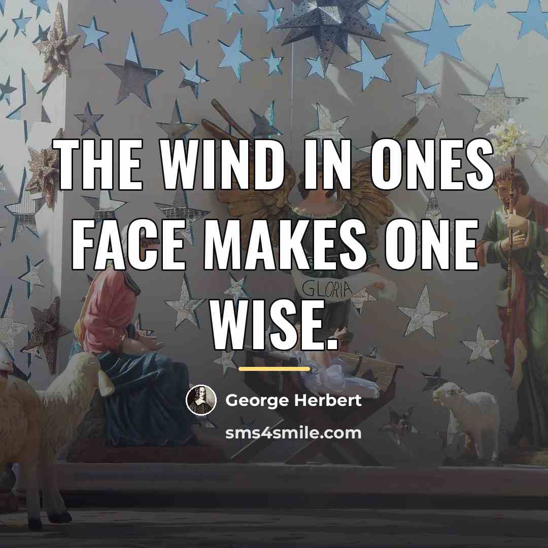 “The wind in ones face makes one wise.…” quote by George Herbert