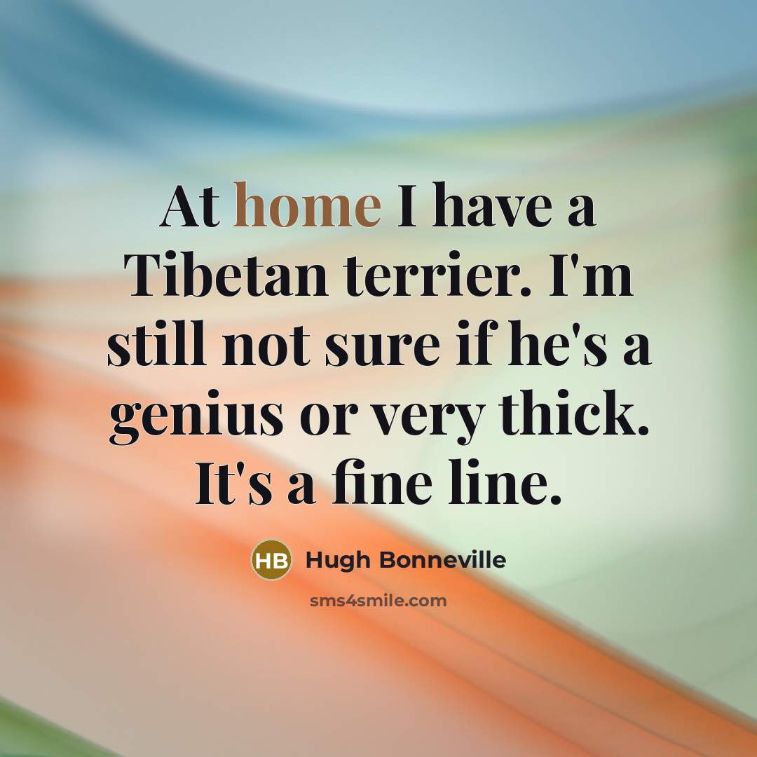 “At home I have a Tibetan terrier. I'm still not…” quote by Hugh Bonneville