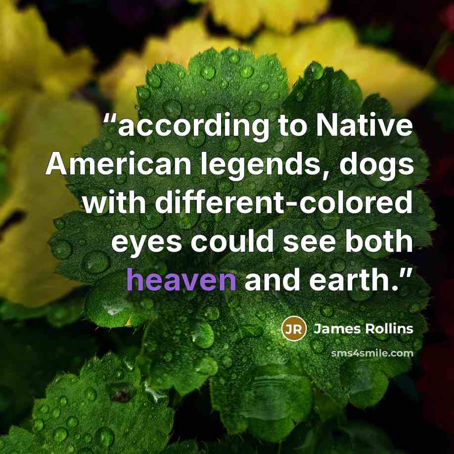 “according to Native American legends, dogs with different-colored eyes could see both heaven and earth.” quote by James Rollins