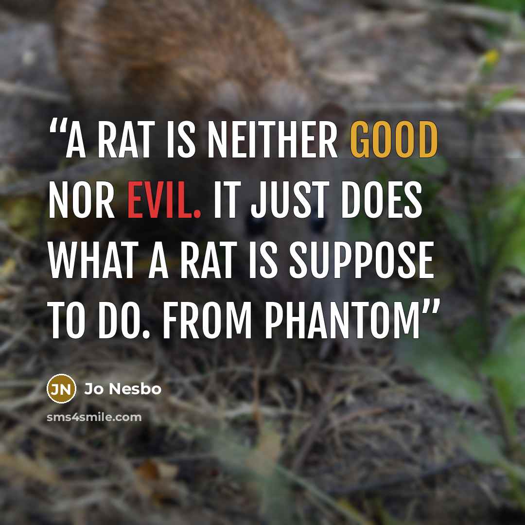 “A rat is neither good nor evil. It just does what a rat is suppose to do. From Phantom” quote by Jo Nesbo