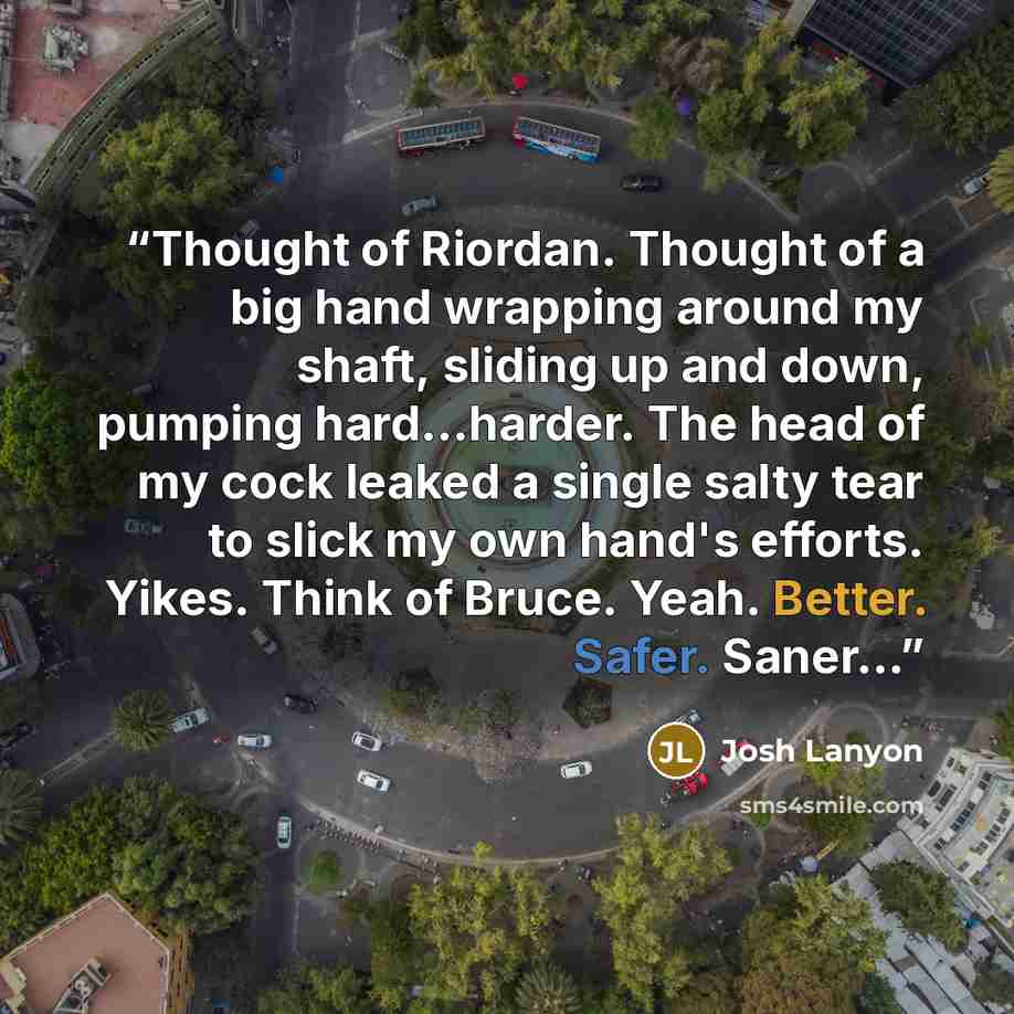 “Thought of Riordan. Thought of a big hand wrapping around my shaft, sliding up and down, pumping hard...harder. The head of my cock leaked a single salty tear to slick my own hand's efforts. Yikes. Think of Bruce. Yeah. Better. Safer. Saner...” quote by Josh Lanyon