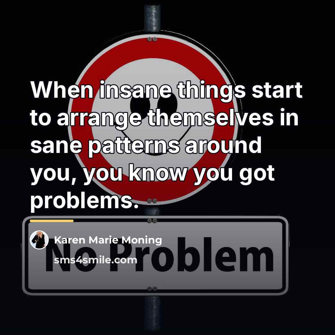 “When insane things start to arrange themselves in sane patterns…” quote by Karen Marie Moning