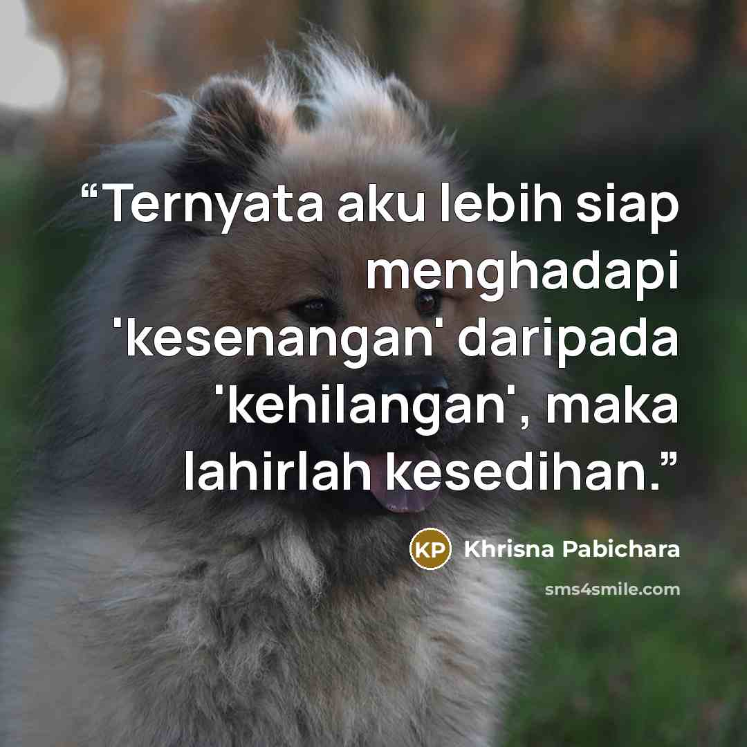 “Ternyata aku lebih siap menghadapi 'kesenangan' daripada 'kehilangan', maka lahirlah kesedihan.” quote by Khrisna Pabichara