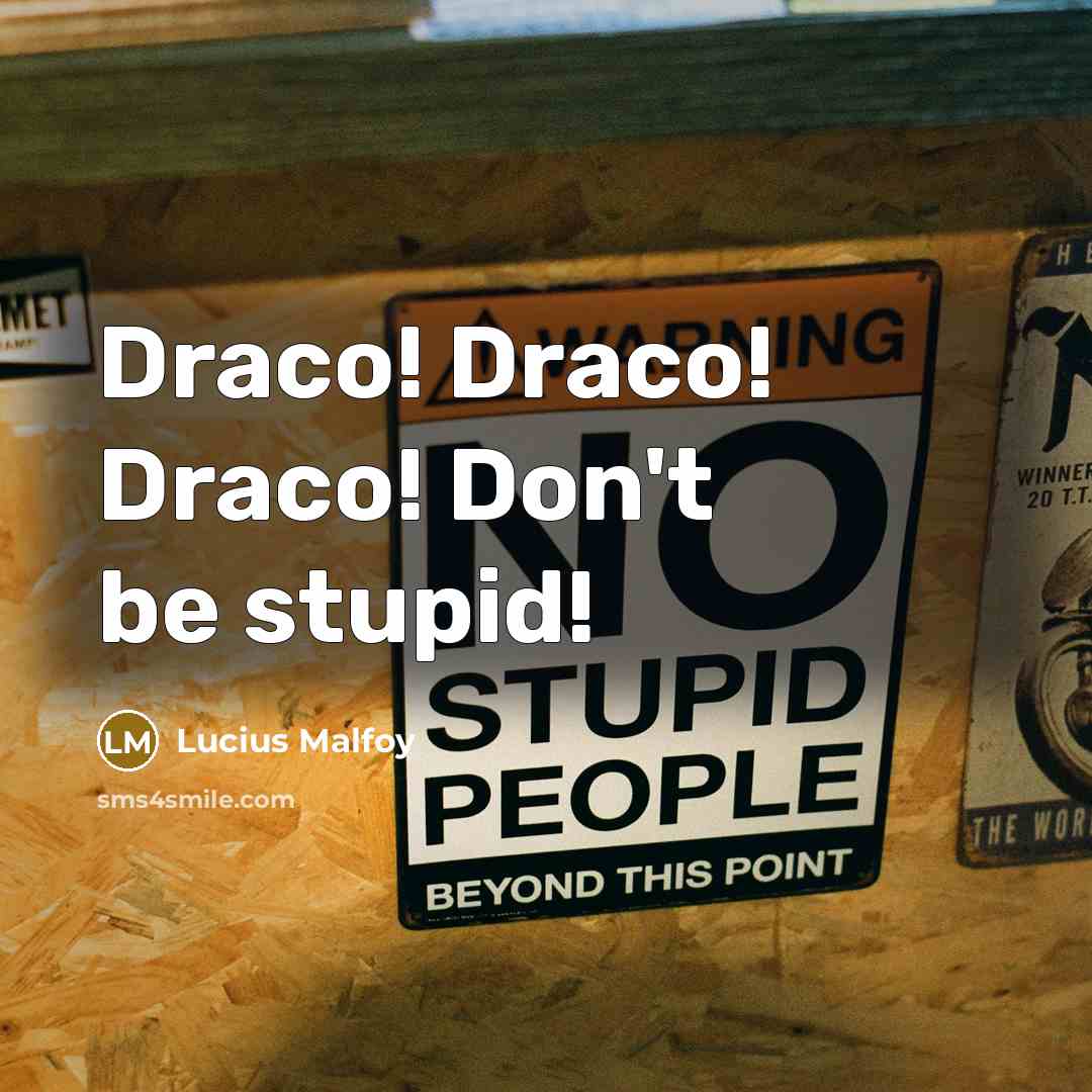 “Draco! Draco! Draco! Don't be stupid!” quote by Lucius Malfoy