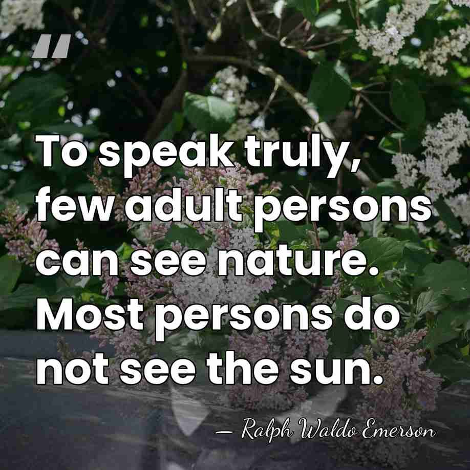 To speak truly, few adult persons can see nature. Most persons do&hellip; - Ralph Waldo Emerson
