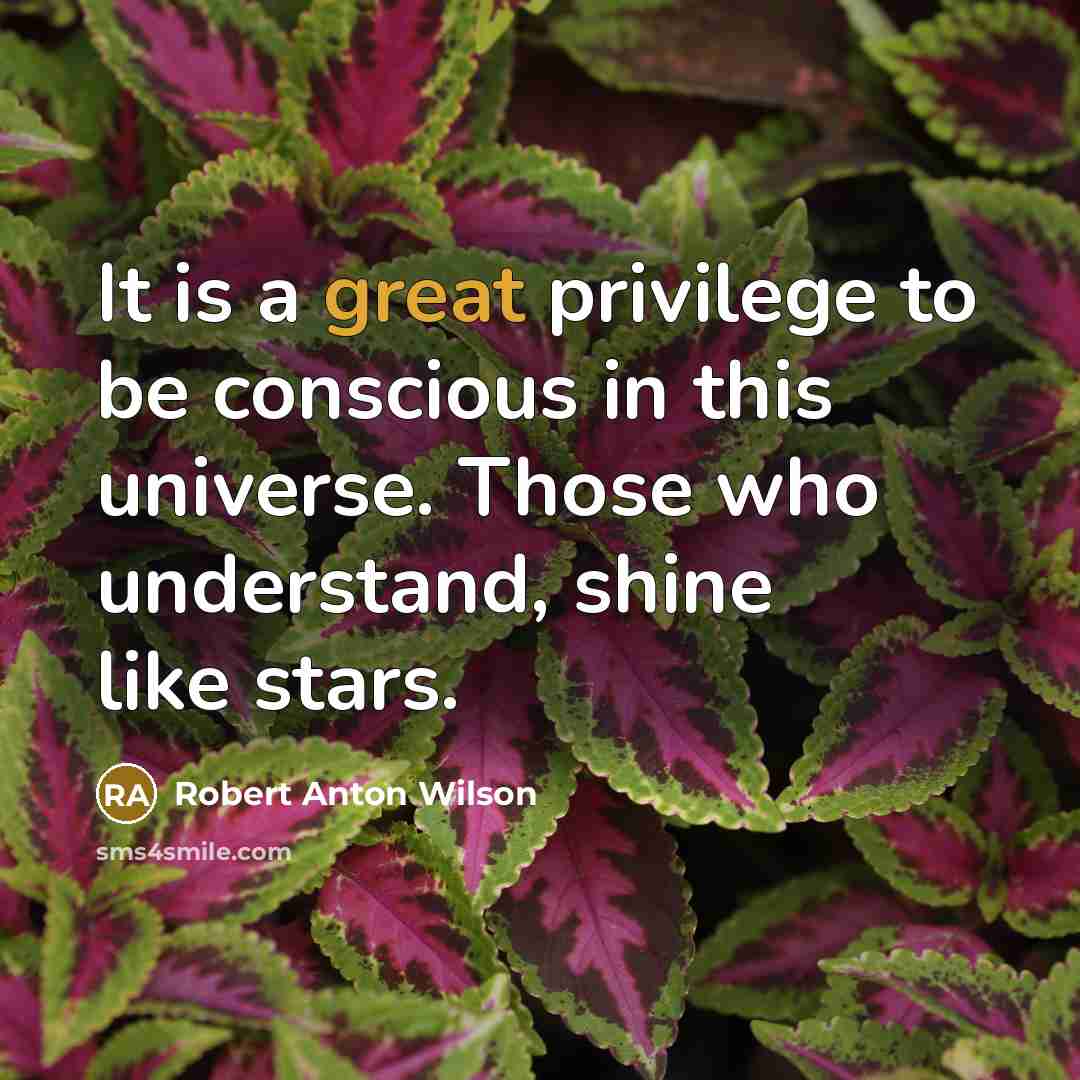 “It is a great privilege to be conscious in this…” quote by Robert Anton Wilson