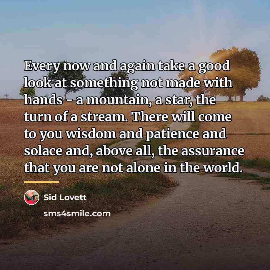“Every now and again take a good look at something…” quote by Sid Lovett