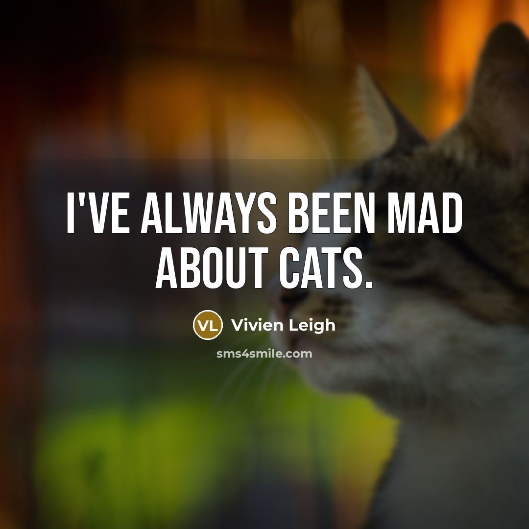 “I've always been mad about cats.…” quote by Vivien Leigh