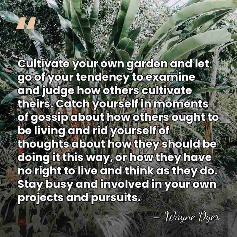 Cultivate your own garden and let go of your tendency to examine&hellip; - Wayne Dyer