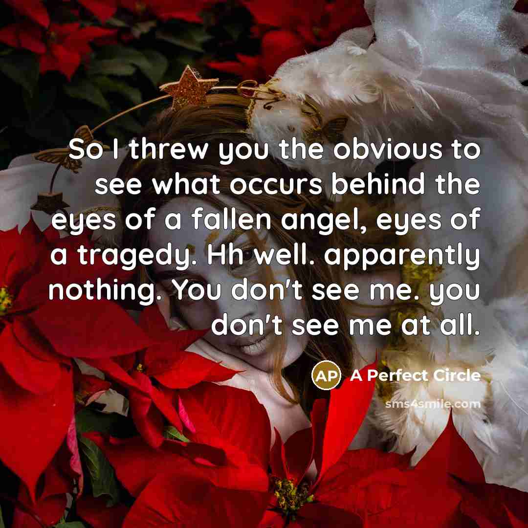 “So I threw you the obvious to see what occurs…” quote by A Perfect Circle