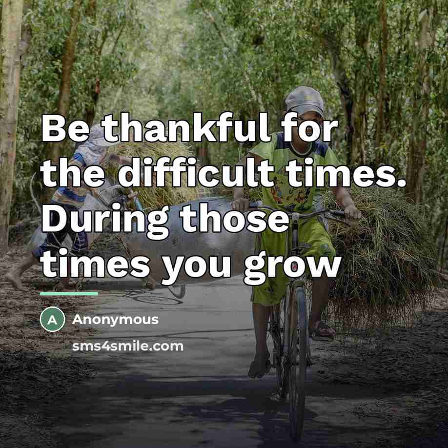 “Be thankful for the difficult times. During those times you…” quote by Anonymous