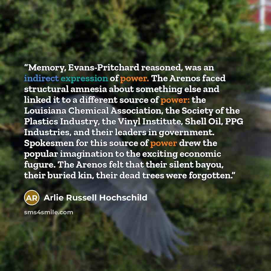 “Memory, Evans-Pritchard reasoned, was an indirect expression of power. The Arenos faced structural amnesia about something else and linked it to a different source of power: the Louisiana Chemical Association, the Society of the Plastics Industry, the Vinyl Institute, Shell Oil, PPG Industries…” quote by Arlie Russell Hochschild