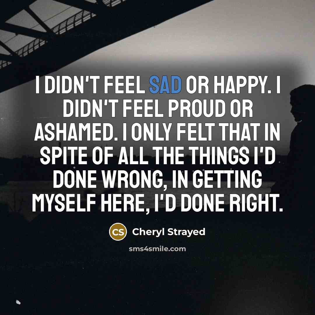 “I didn't feel sad or happy. I didn't feel proud…” quote by Cheryl Strayed