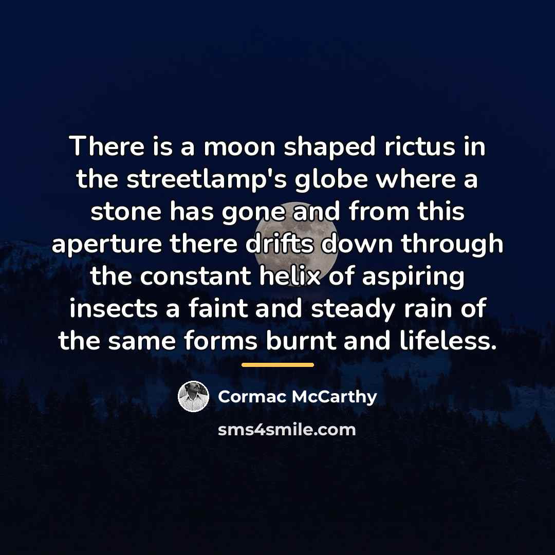 “There is a moon shaped rictus in the streetlamp's globe…” quote by Cormac McCarthy