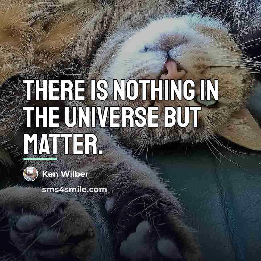 “There is nothing in the universe but matter.…” quote by Ken Wilber