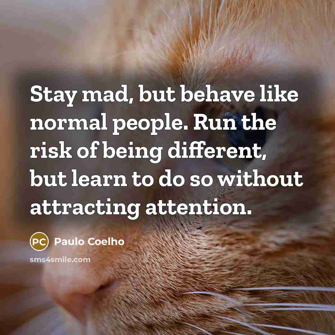 “Stay mad, but behave like normal people. Run the risk…” quote by Paulo Coelho