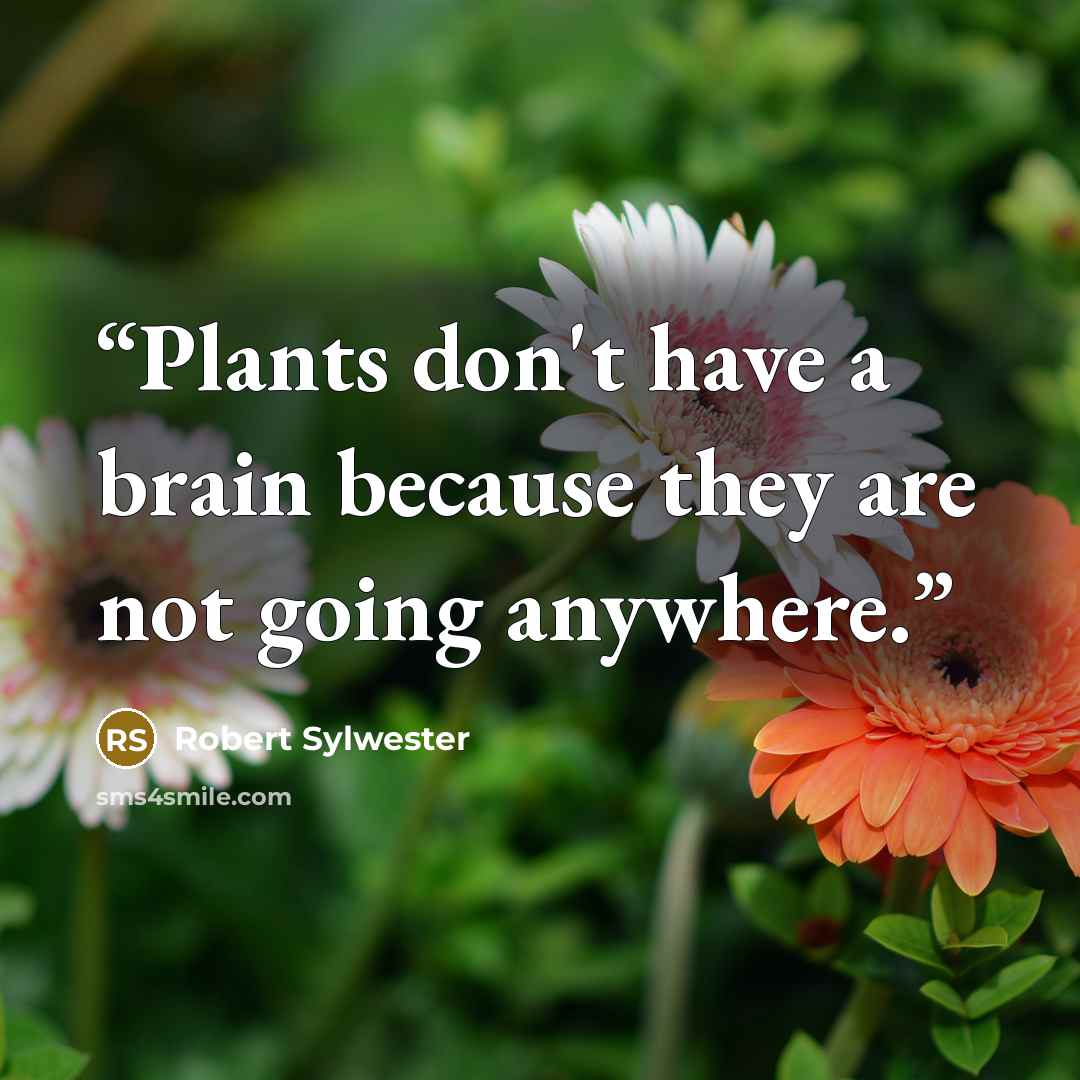 “Plants don't have a brain because they are not going anywhere.” quote by Robert Sylwester