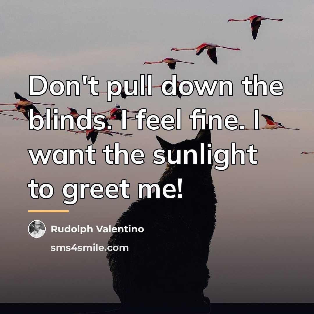 “Don't pull down the blinds. I feel fine. I want…” quote by Rudolph Valentino