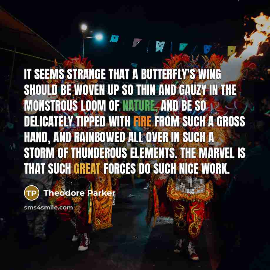 “It seems strange that a butterfly's wing should be woven…” quote by Theodore Parker