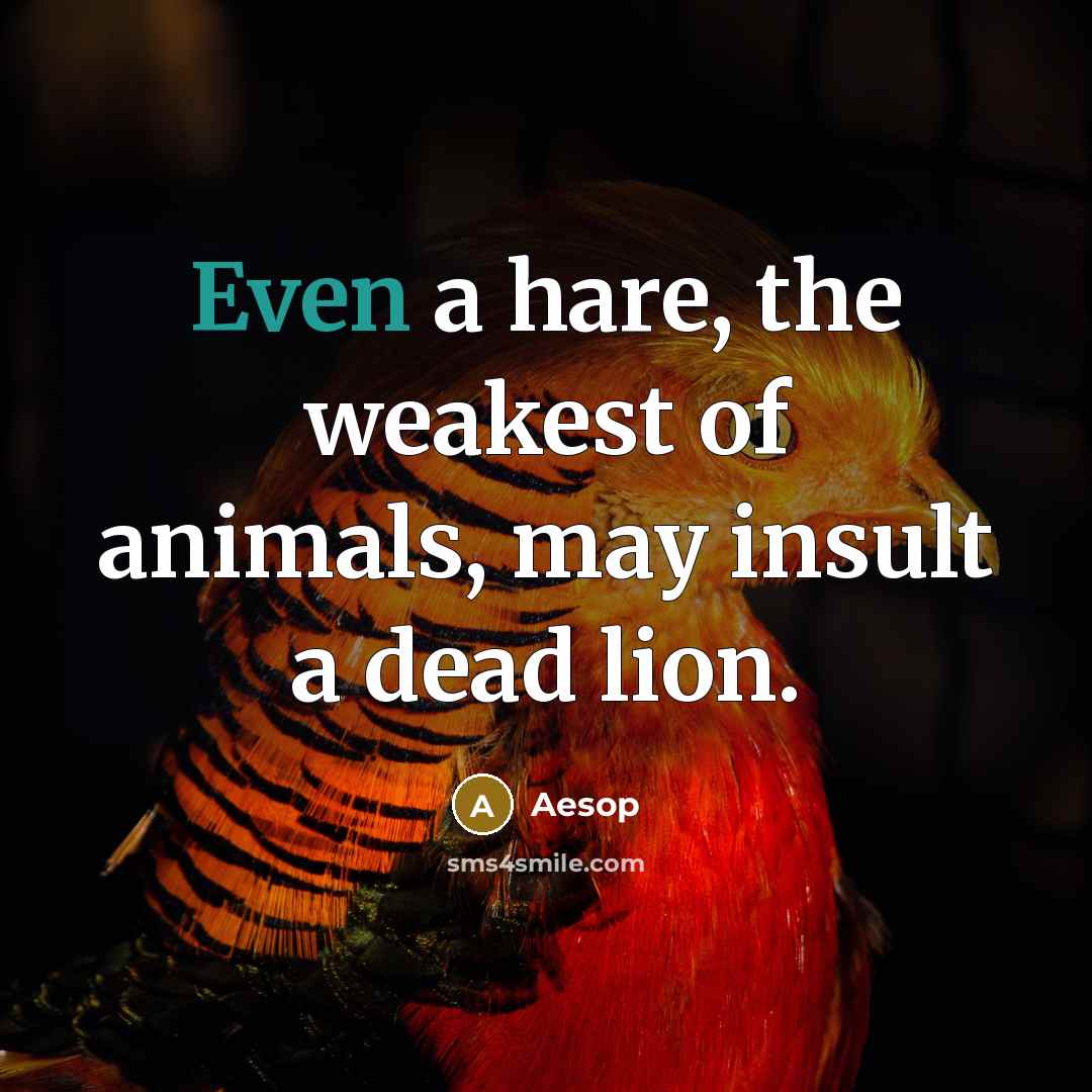 “Even a hare, the weakest of animals, may insult a…” quote by Aesop