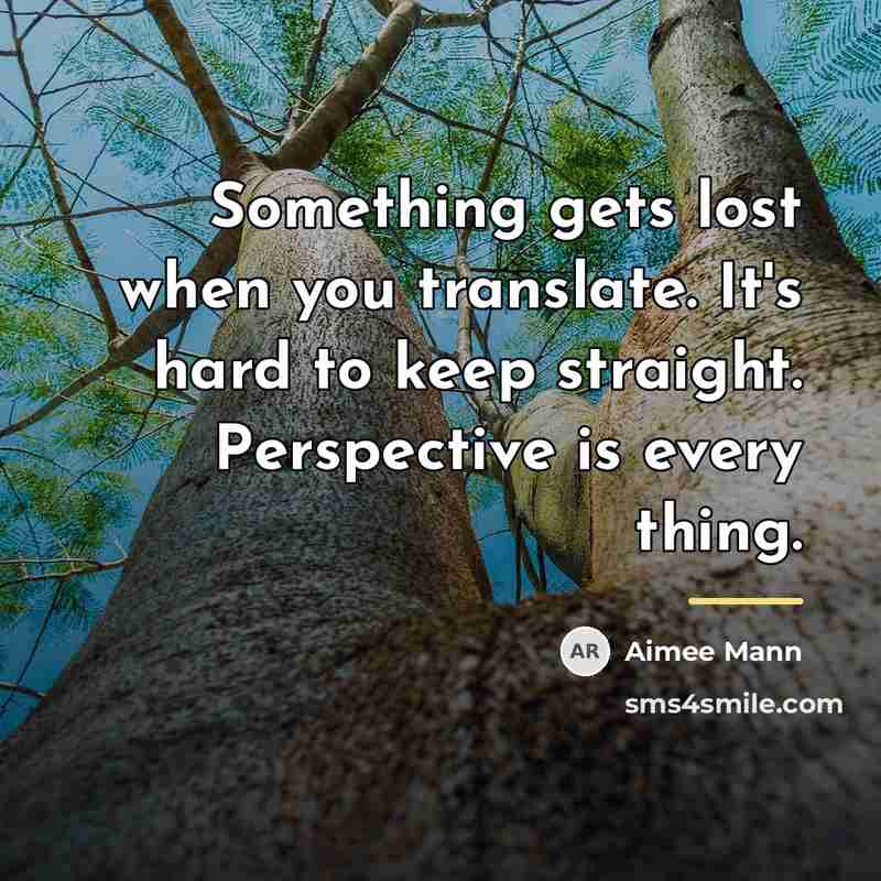 “Something gets lost when you translate. It's hard to keep…” quote by Aimee Mann