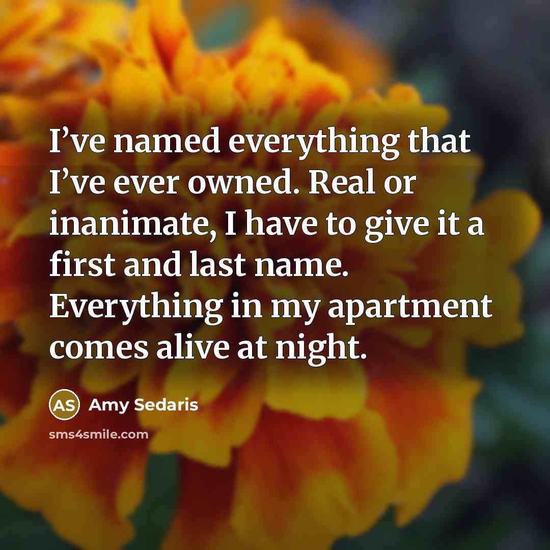 “I’ve named everything that I’ve ever owned. Real or inanimate,…” quote by Amy Sedaris