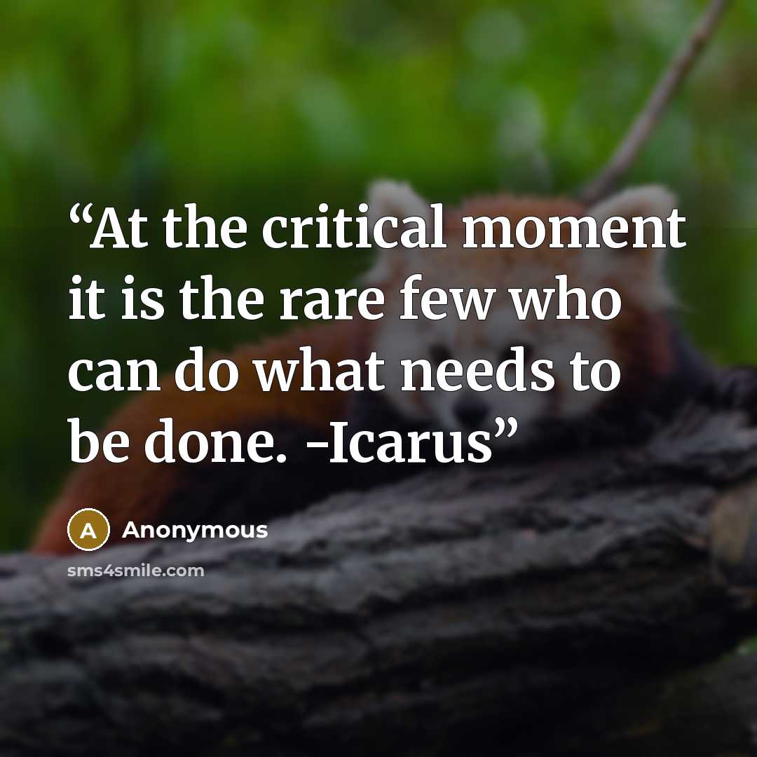 “At the critical moment it is the rare few who can do what needs to be done. -Icarus” quote by Anonymous
